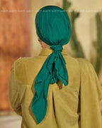 Scada Mini Tie (1049)